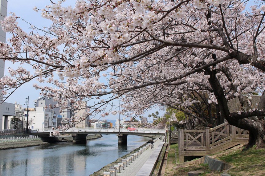 🌳 아이바하마 공원 이미지 1